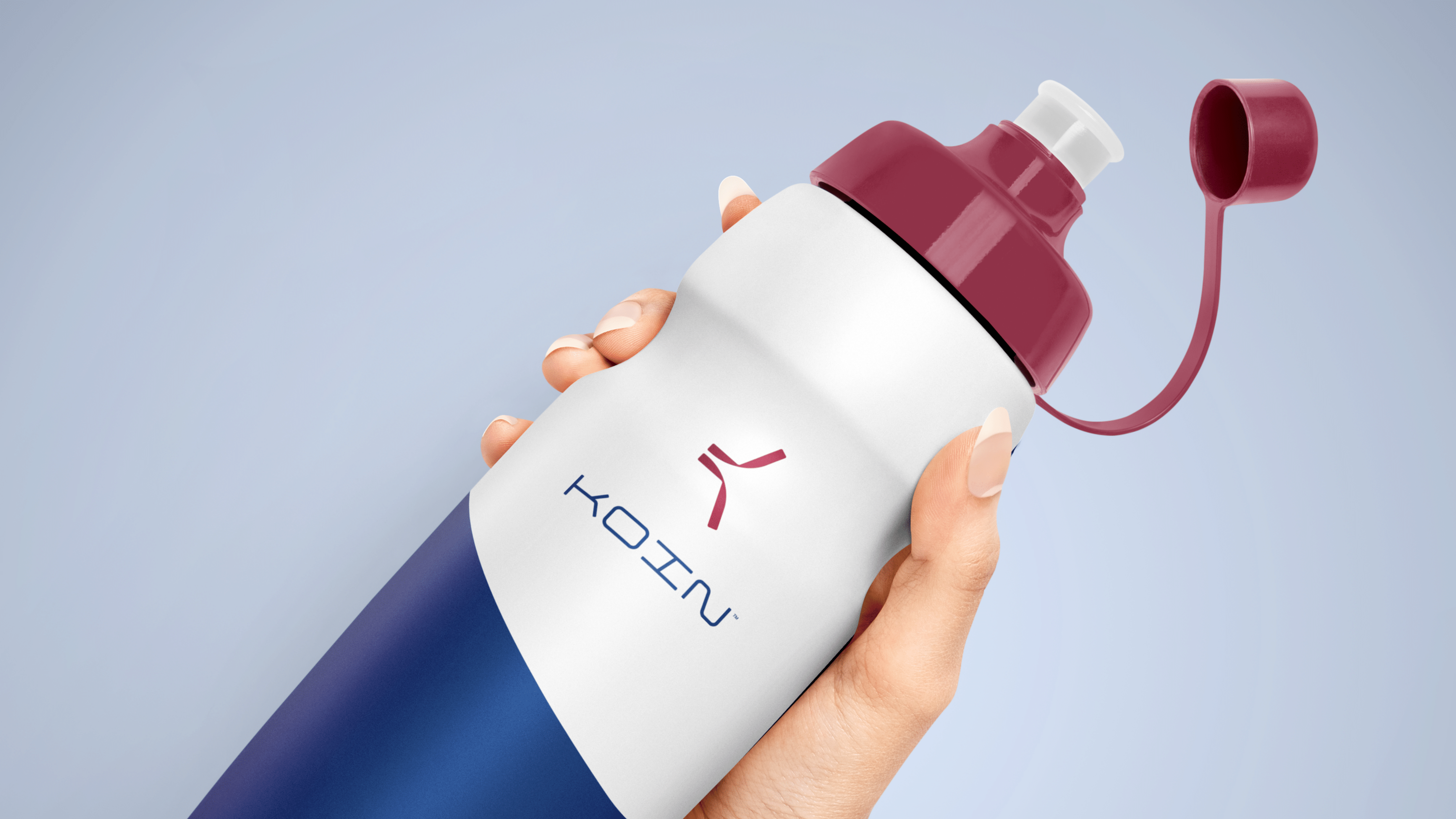 Koin Visual Guide - Page 20